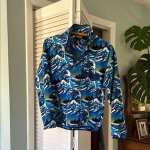 Patagonia Synchilla Blue Wave Snap T Pullover